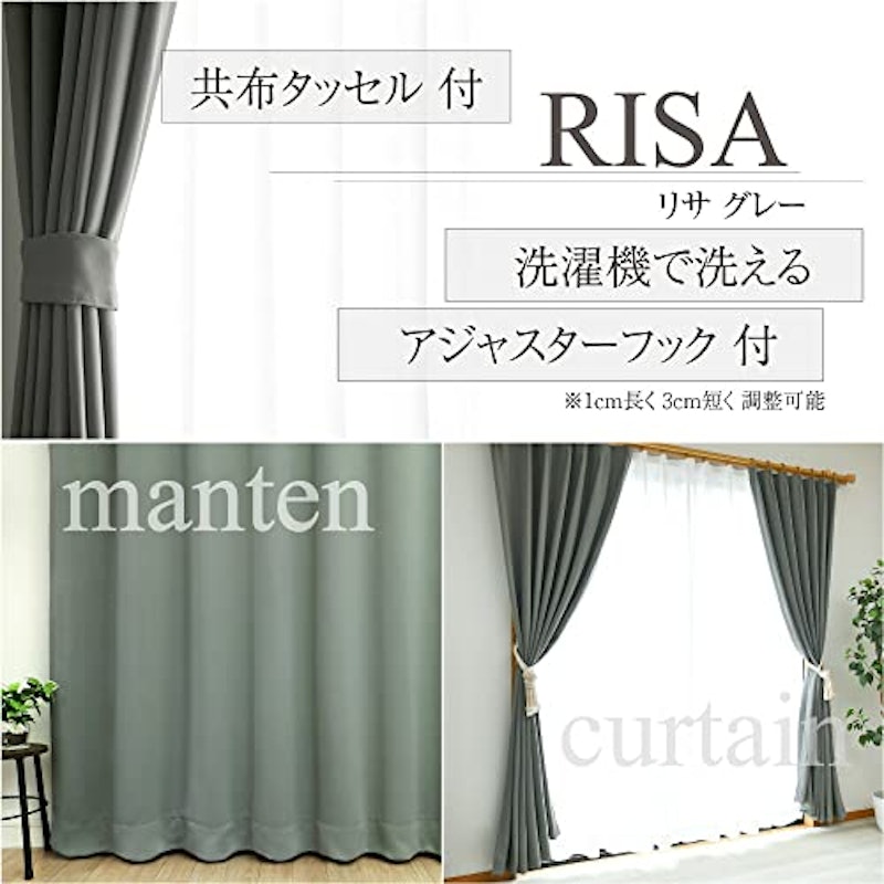 RISA 3