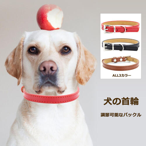 犬の首輪 1