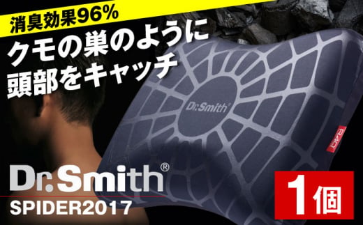 SPIDER2017 2