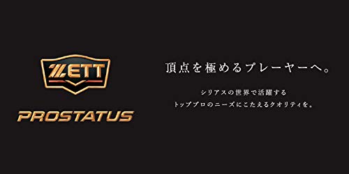 硬式キャッチャーミット プロステイタス 4