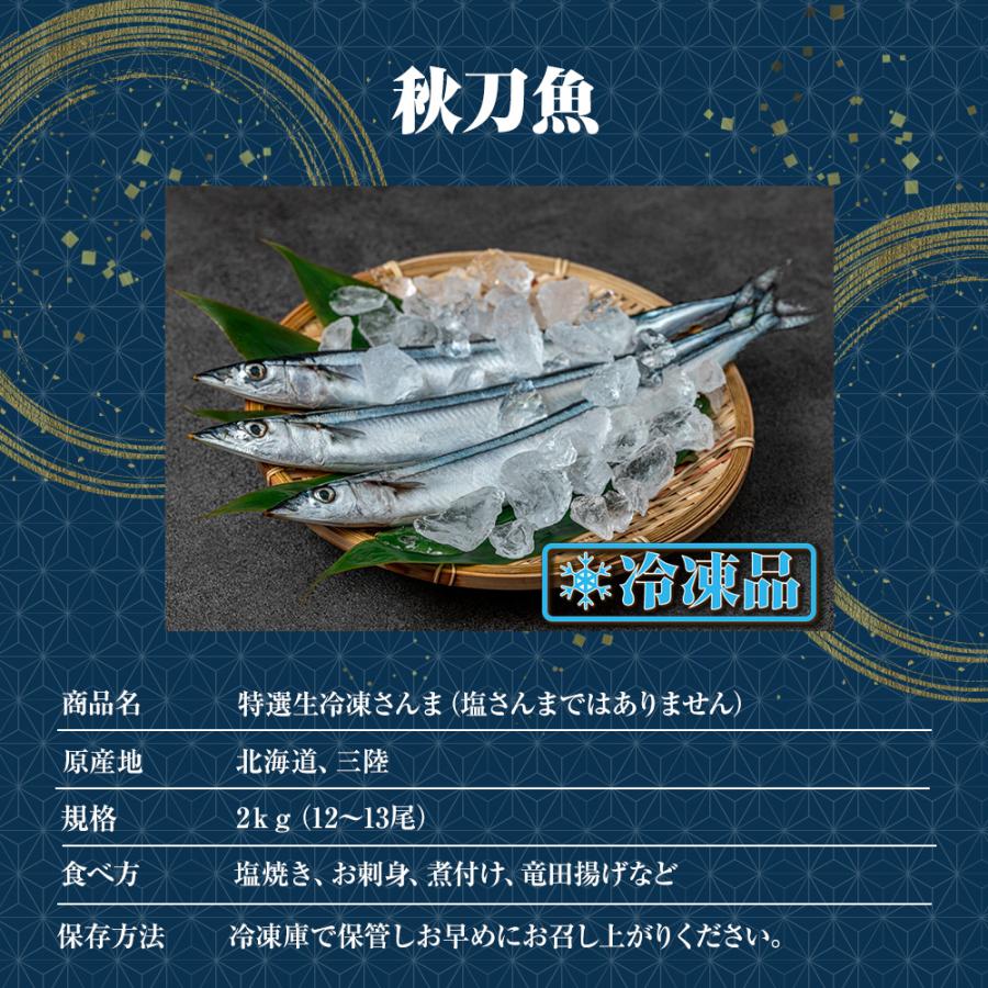  特大生冷凍さんま 9