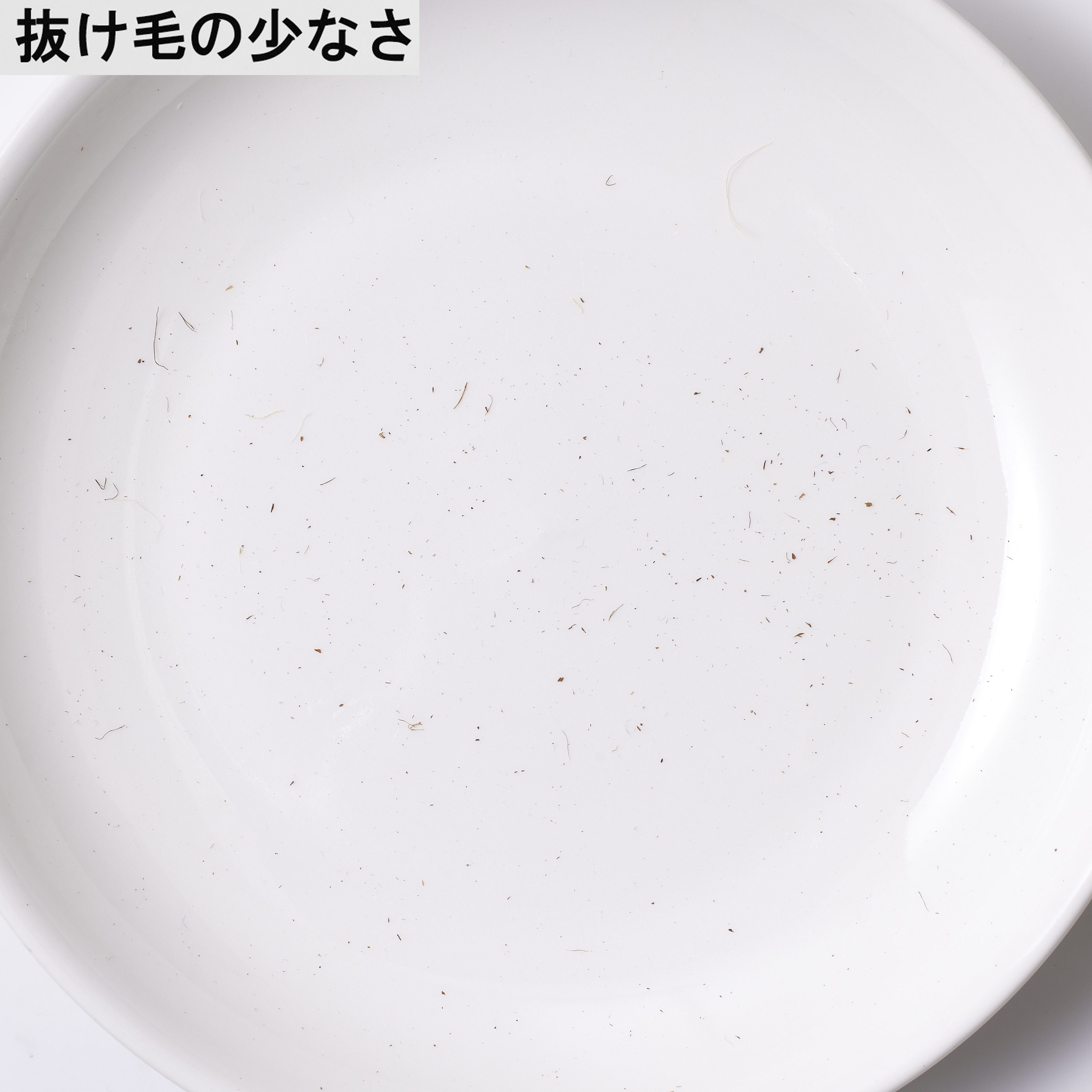 しゅろのやさしいささら 8