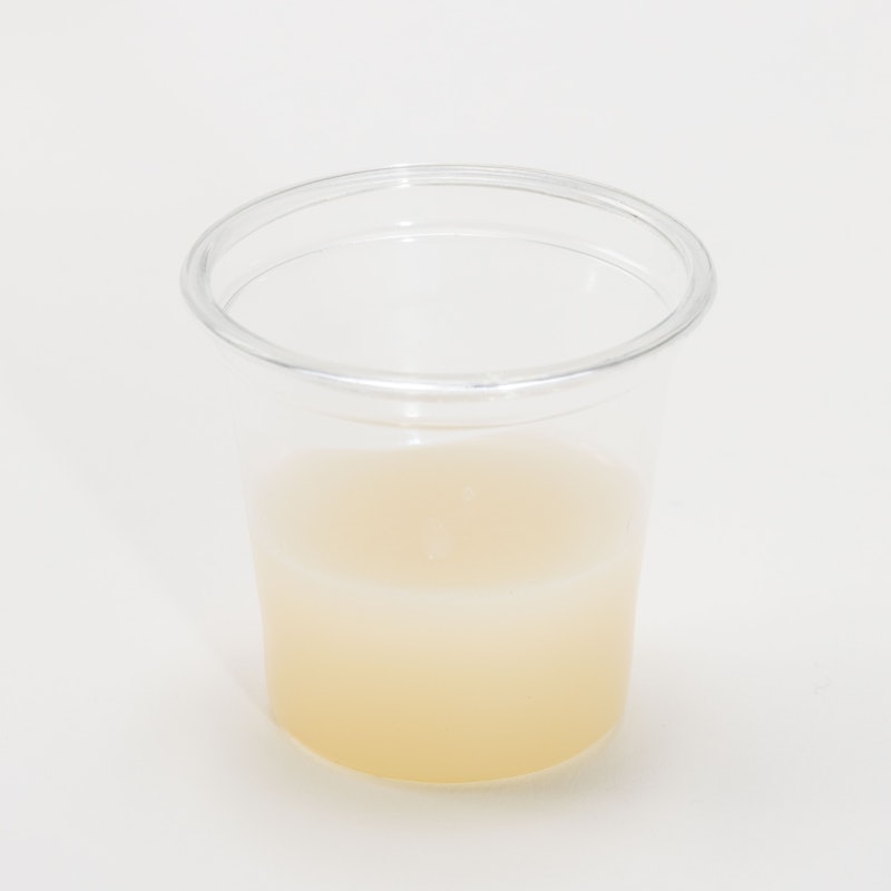 濃厚白湯 4