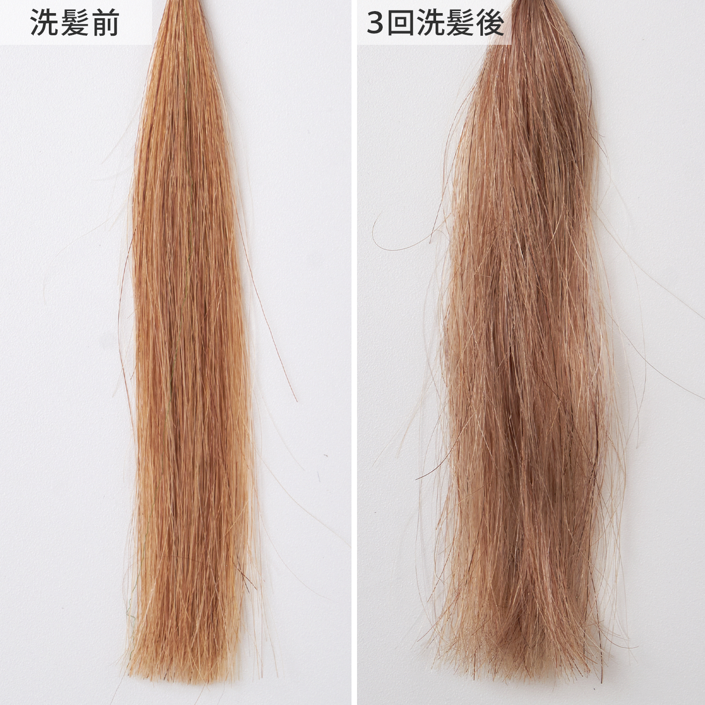 21年 紫シャンプーのおすすめ人気ランキング19選 徹底比較 Mybest