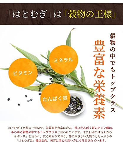 国産 はとむぎ茶 2