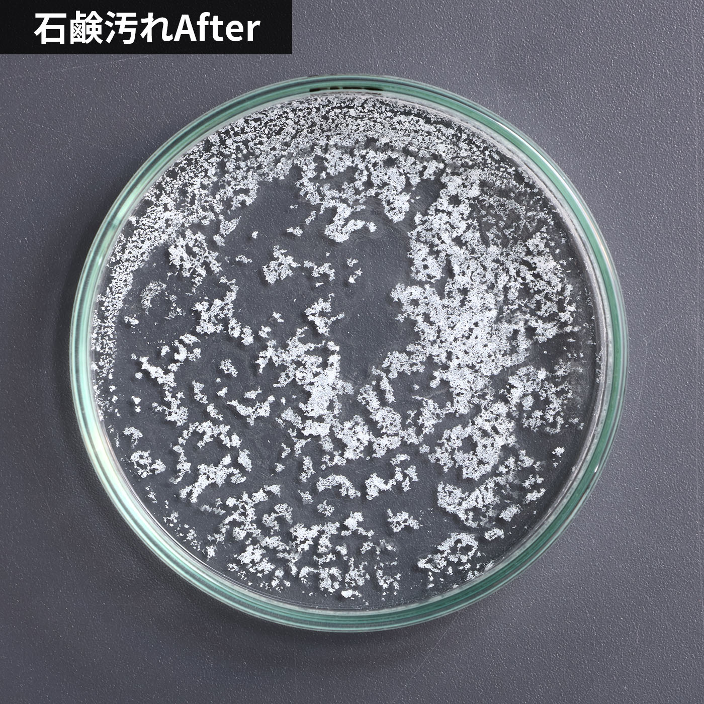 洗濯槽のカビ丸洗浄 7