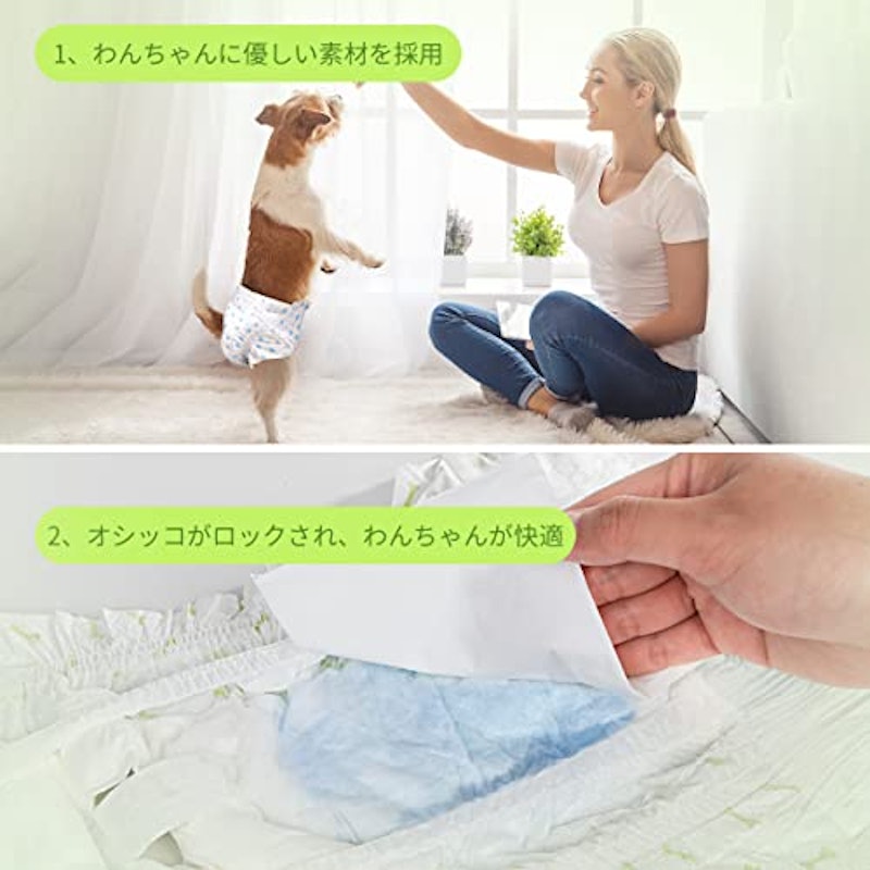 犬用おむつ 4