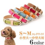 犬用首輪のおすすめ人気ランキング【2026年7月】 5