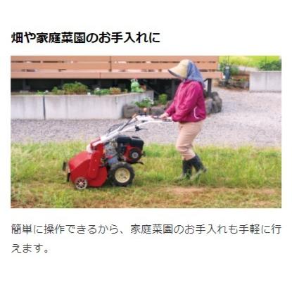 コンパクトハンマーモア 2