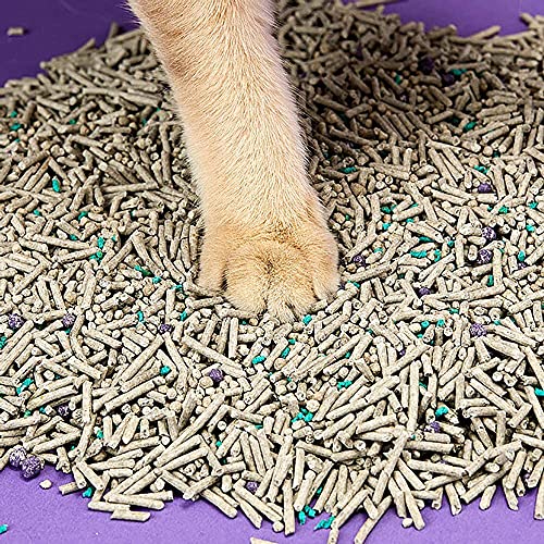 猫砂 4