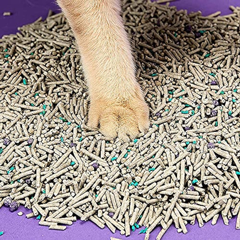 猫砂 4