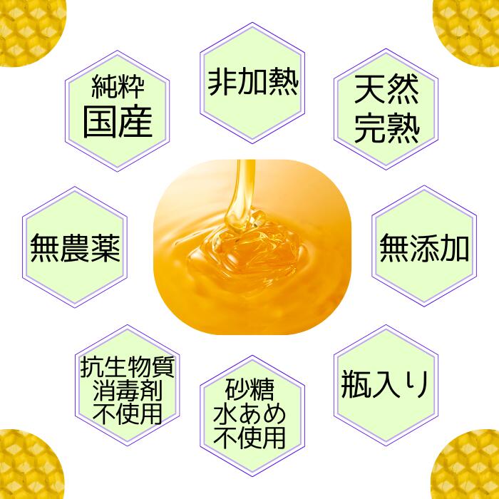 匠のはちみつ プレミアム 完熟純粋蜂蜜 6