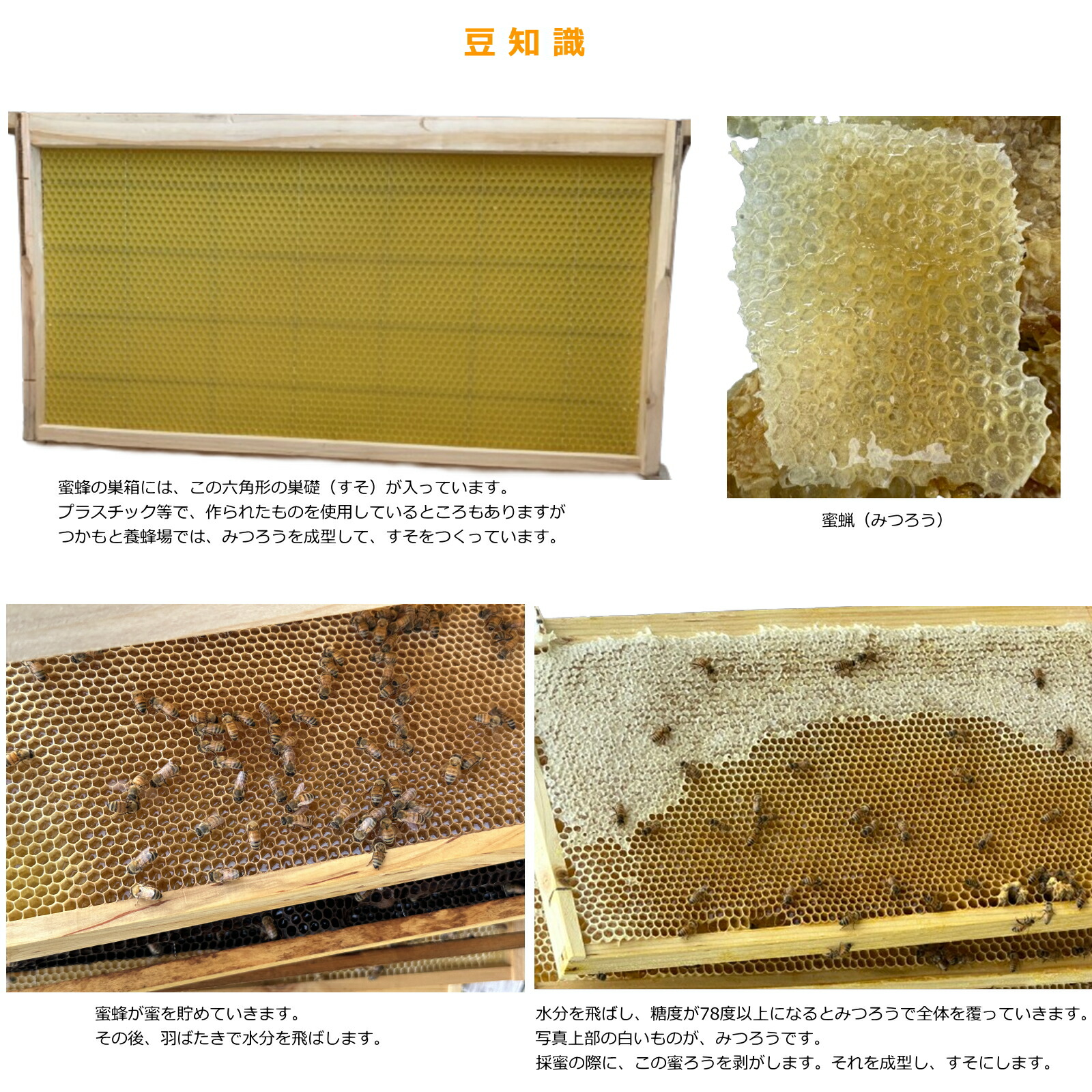 匠のはちみつ 蜂蜜 4セット 5