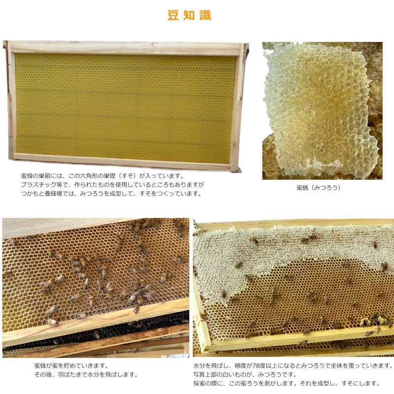 匠のはちみつ 蜂蜜 4セット 5