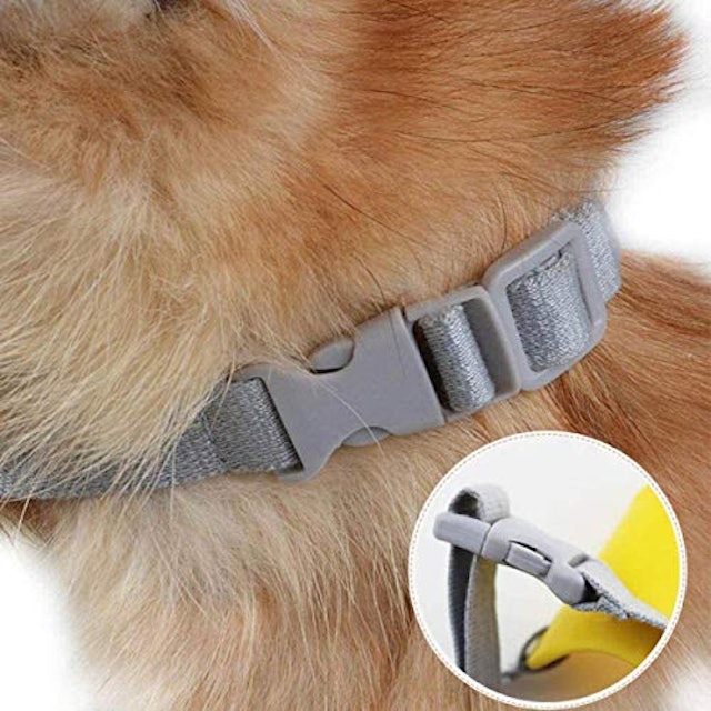 21年 口輪のおすすめ人気ランキング9選 Mybest 21年 口輪のおすすめ人気ランキング9選 Mybest