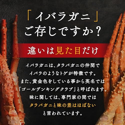 イバラガニ 脚 (1肩)  2