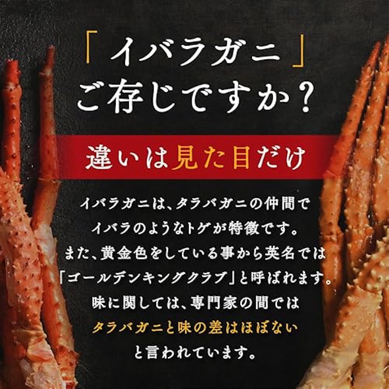 イバラガニ 脚 (1肩) 2