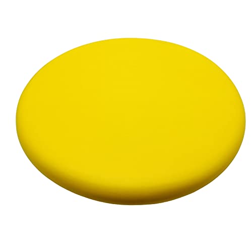 フライングディスク  1