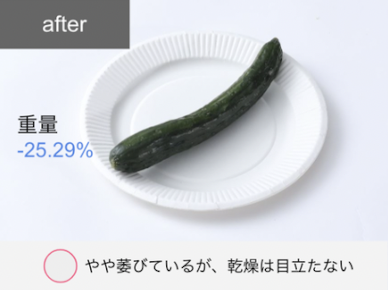 プラズマクラスター冷蔵庫 18
