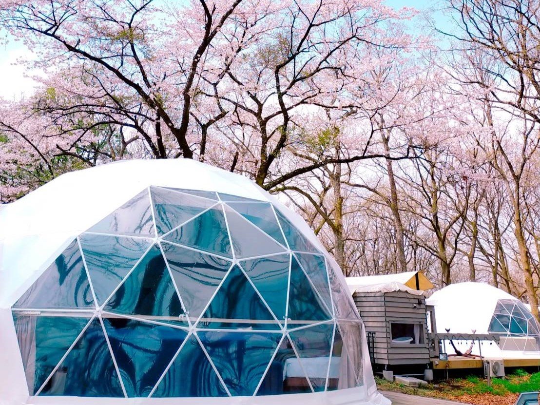 Haga Farm & Glamping 1