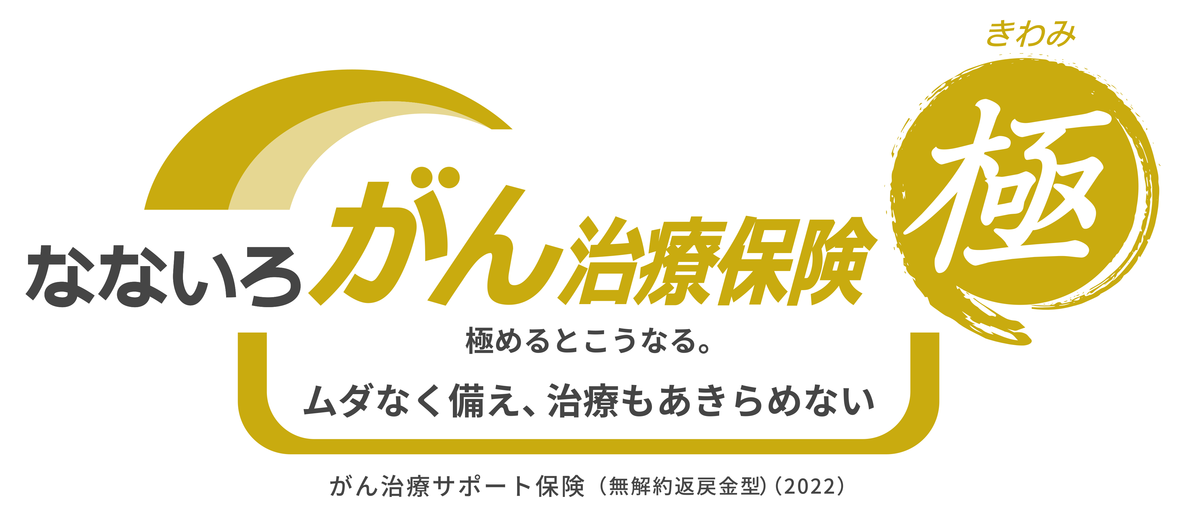 なないろがん治療保険極 1