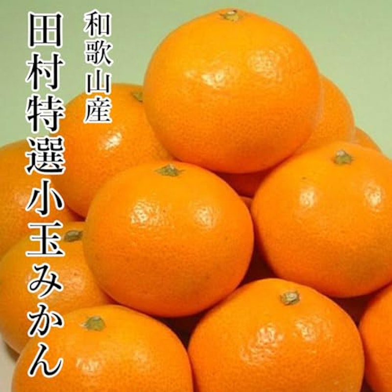 和歌山県産 田村みかん 2