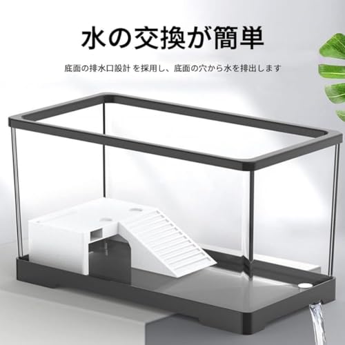 水槽 4