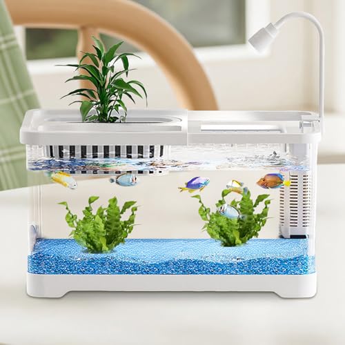 【値下げ可】水槽・メダカ・エビ・アクアリウムグッズセット メダカ元気 メダカのための水槽セット400: 100｜業務用トリミング用品