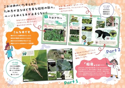 似せかたイロイロ！昆虫擬態図鑑 2