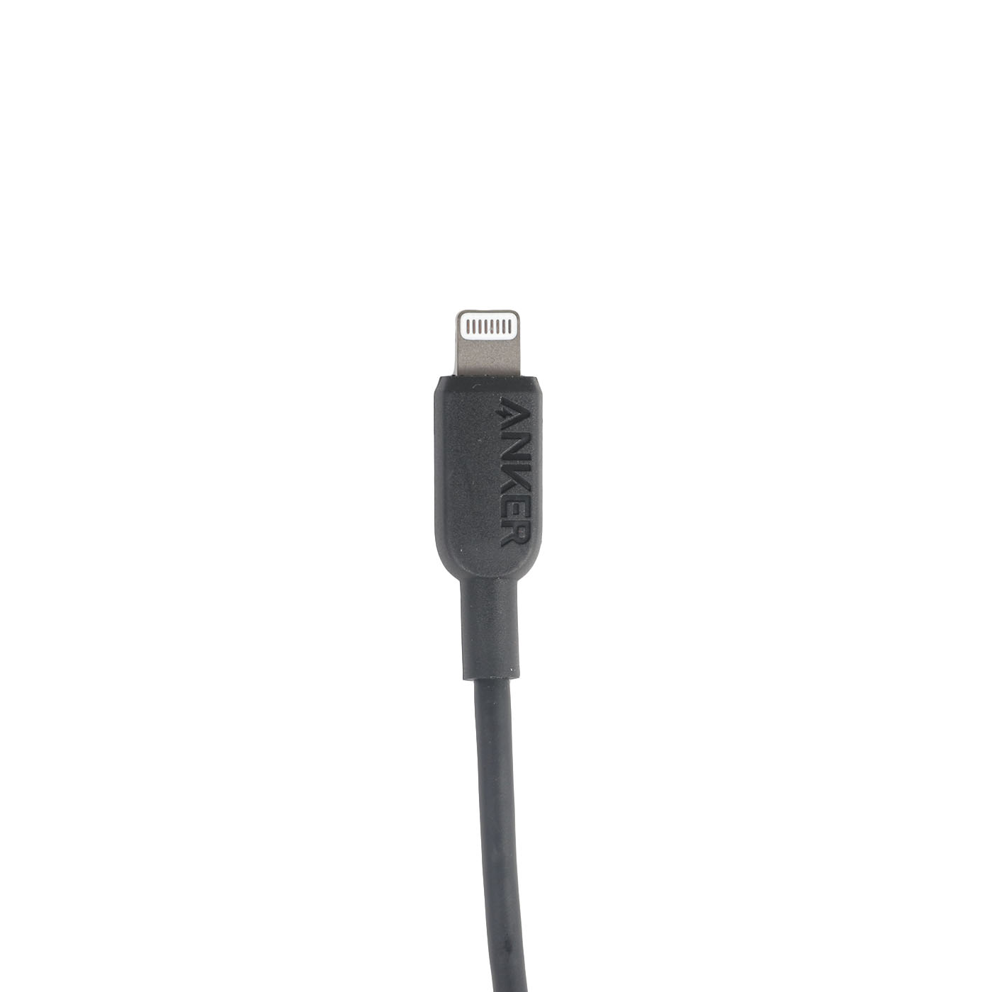 USB-C & ライトニング ケーブル 2