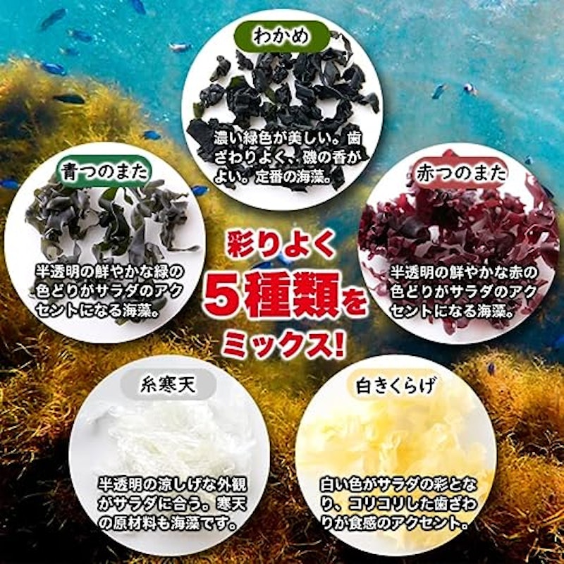 海藻サラダ 5