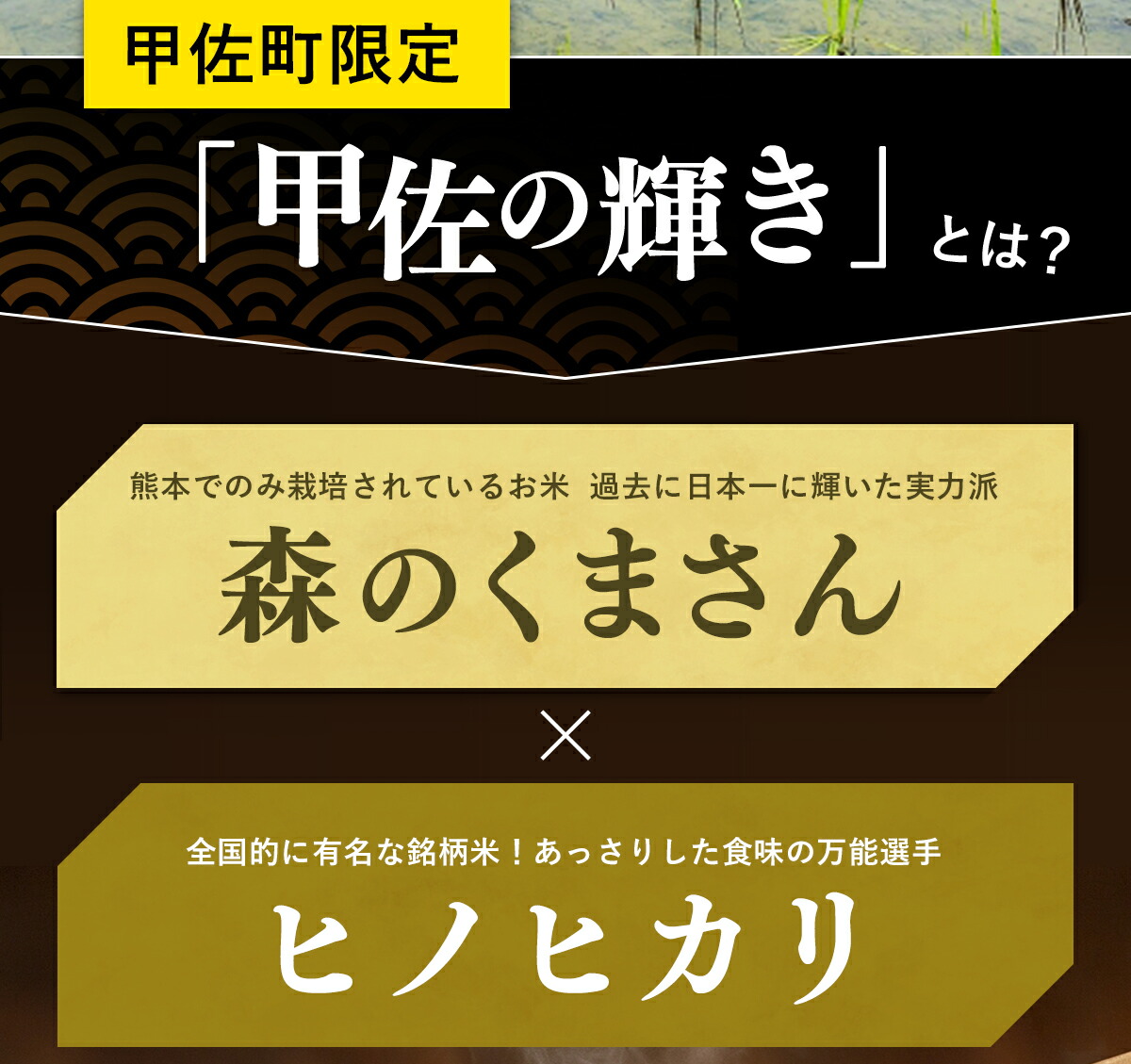 甲佐の輝き 3