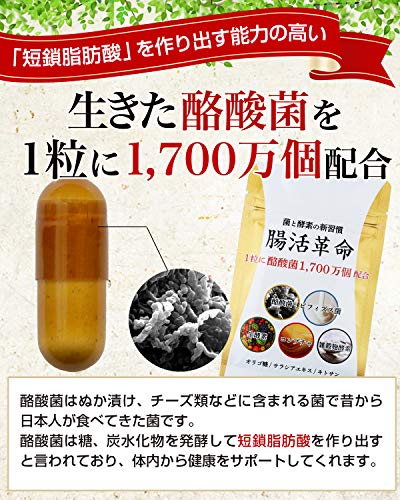 腸活革命 2