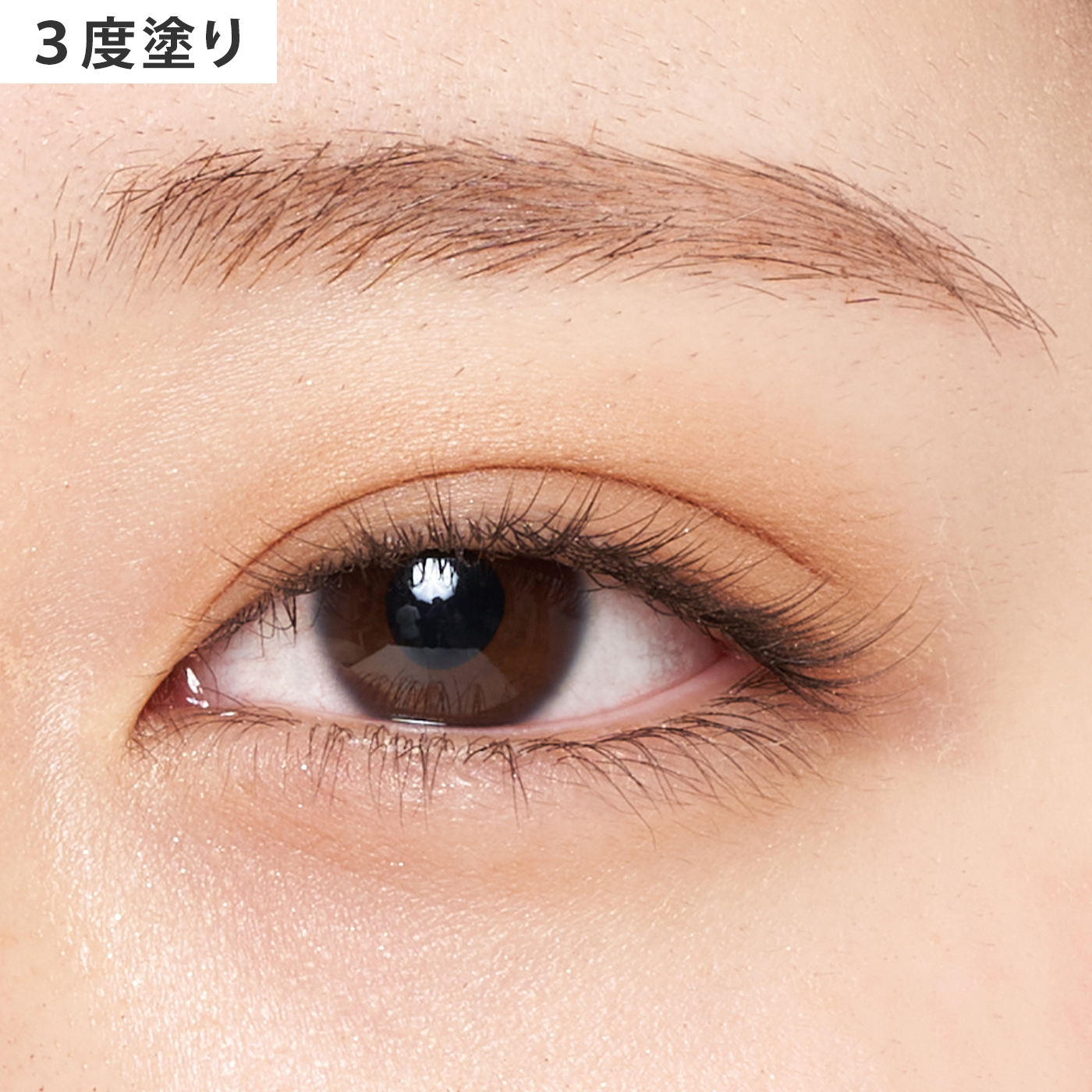 ベージュアイシャドウのおすすめ人気ランキング | マイベスト