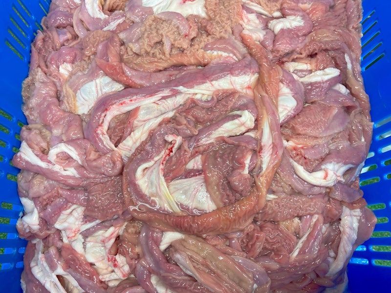 豚 生大腸のばし 1