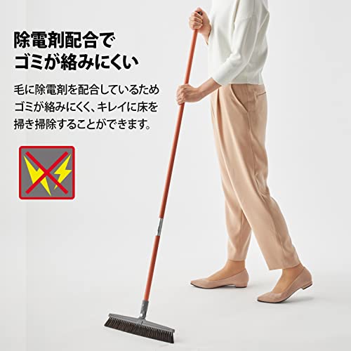 自由箒C 3