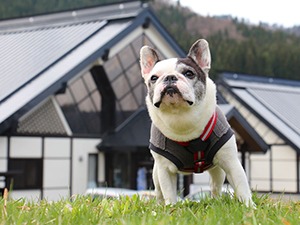 六郷温泉 あったか山 4