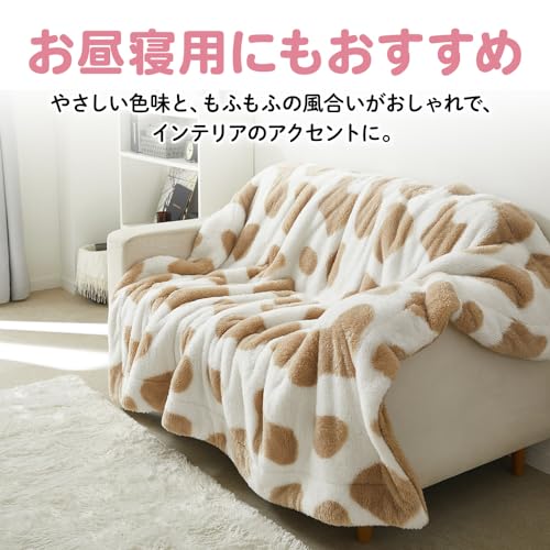 毛布 6