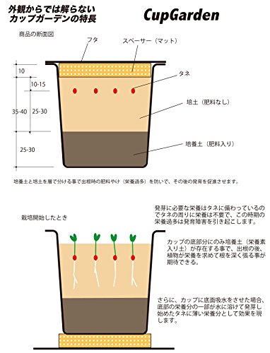 カップガーデン 9