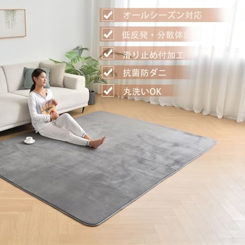 低反発ラグマット 2