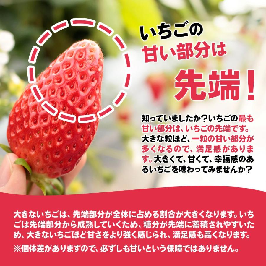 章姫 4