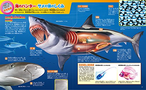講談社の動く図鑑MOVE 魚 新訂版  5