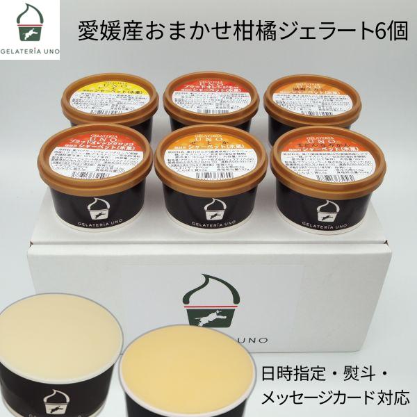 おまかせ愛媛産柑橘ジェラートセット 1