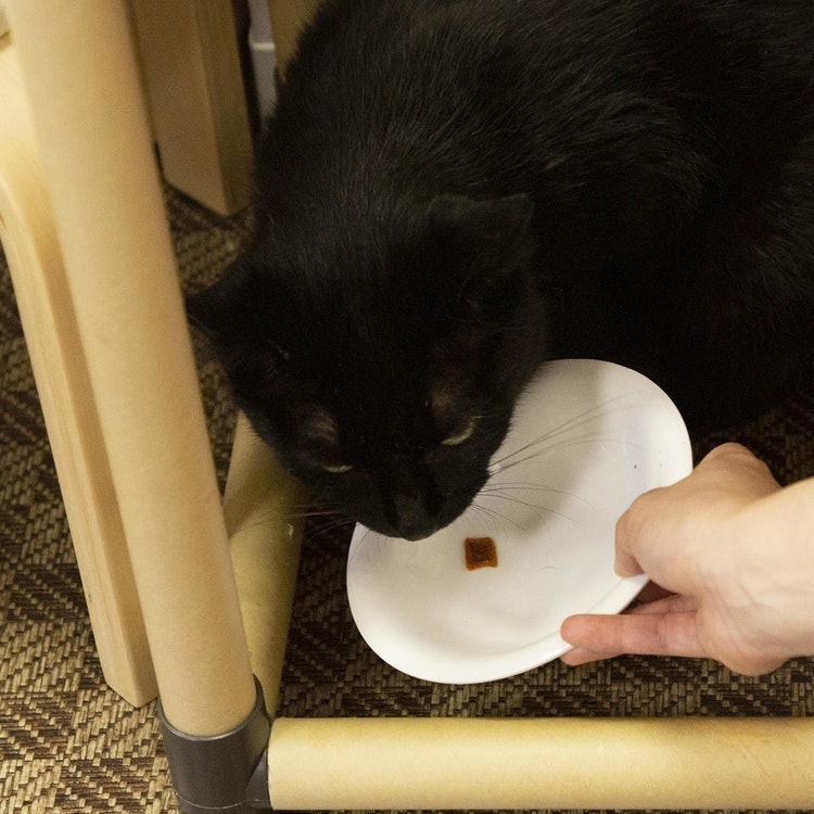 猫の毛玉ケアスナック まぐろ味 7