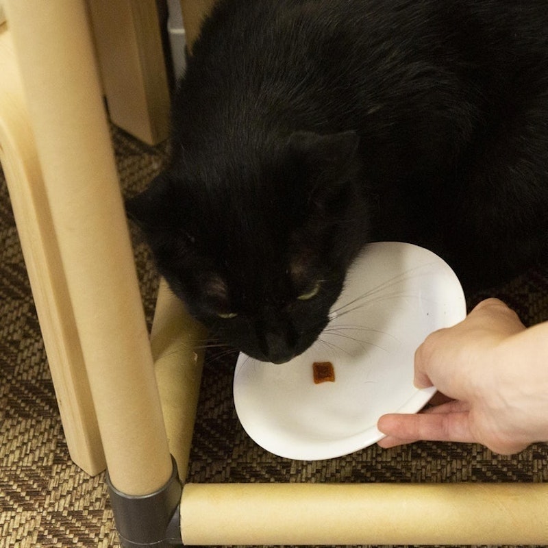 猫の毛玉ケアスナック まぐろ味 7