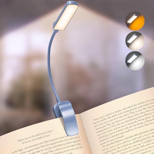 読書灯 1