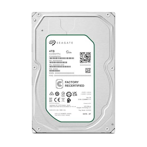 IronWolf Pro 2