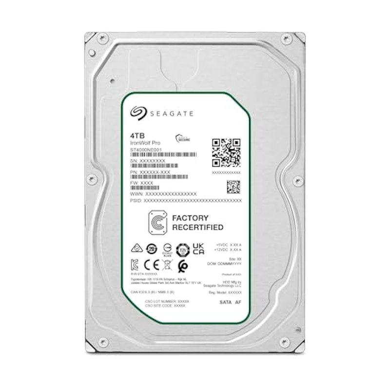 IronWolf Pro 2