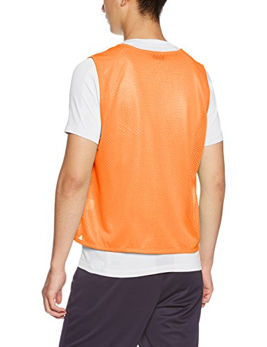 BIBS 3