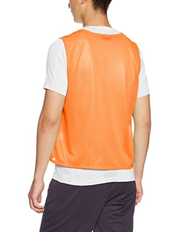 BIBS 3